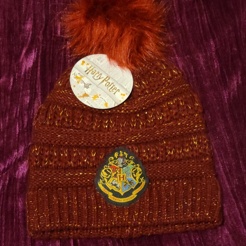Hogwarts Knit Beenie
